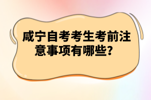 咸寧自考考生考前注意事項(xiàng)有哪些？