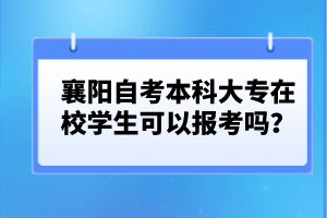 襄陽自考本科大專在校學(xué)生可以報考嗎？