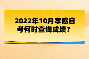 2022年10月孝感自考何時(shí)查詢成績(jī)？