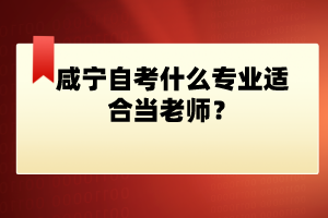 咸寧自考什么專業(yè)適合當老師？