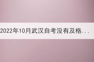 2022年10月武漢自考沒有及格可以補(bǔ)考嗎？